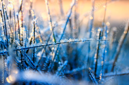 beautiful natural background with grass covered with transparent ice crystals and frost glistening and shimmering in the light of the morning sun