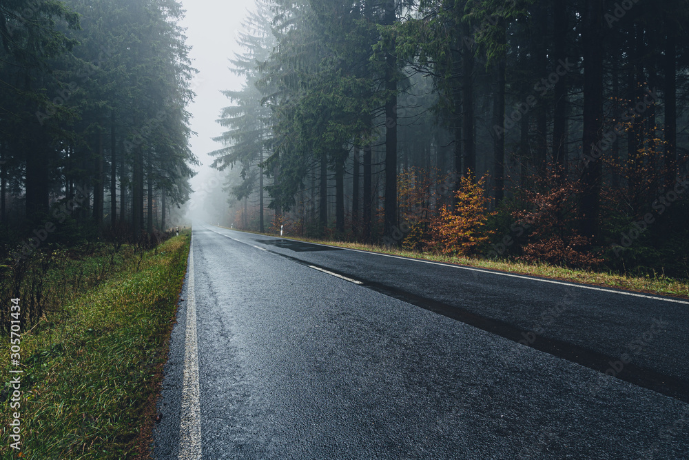Fototapeta premium foggy and wet forest road