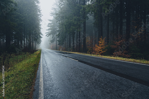 foggy and wet forest road