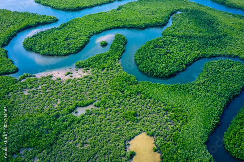 Gambia Mangroves. Aerial view of mangrove forest in Gambia. Photo made by drone from above. Africa Natural Landscape. photo