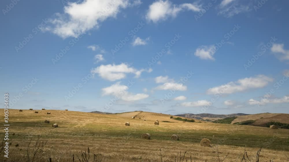 Panoramic view of a wheat field after harvest, with rolled straw bales. Panoramic view of a wheat field after harvest, with rolled straw bales.