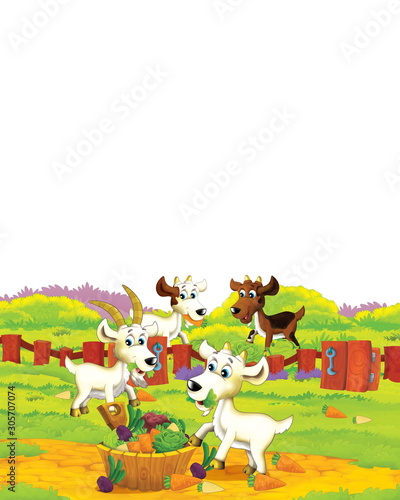 Cartoon farm scene with animal goat having fun on white background - illustration for children