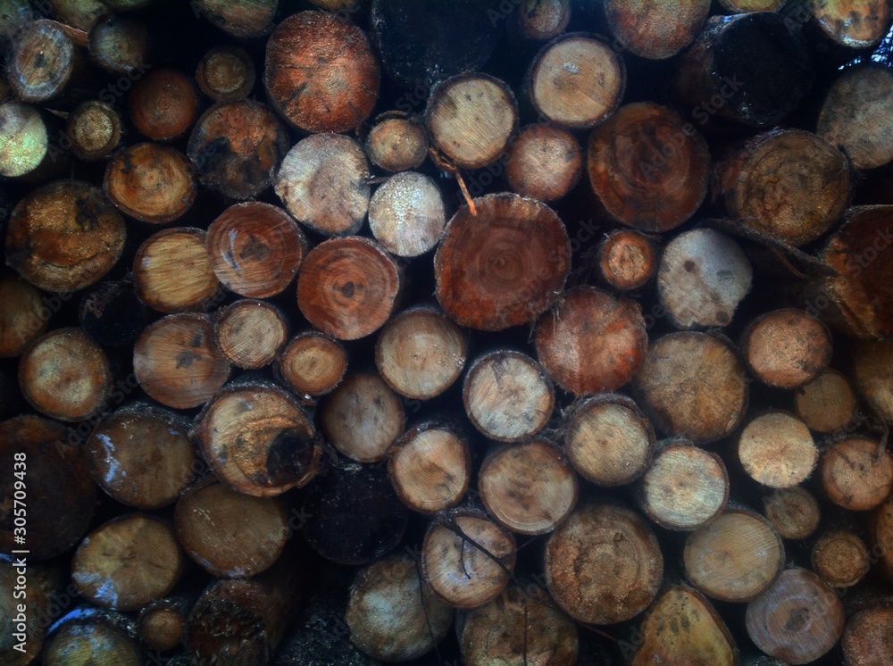 pile of chopped wood