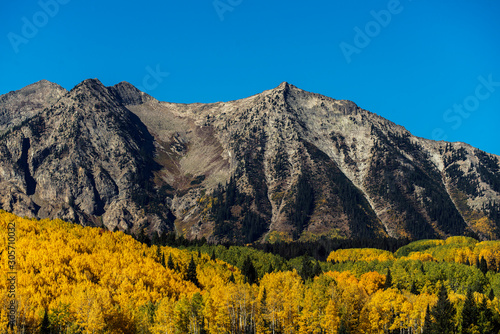 Autumn Aspen Color