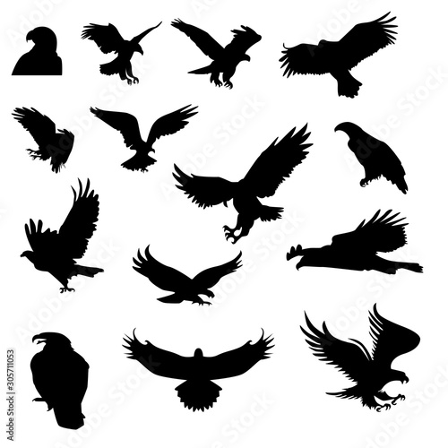 Hunting eagle detailed hunting vector silhouettes set isolated on white background