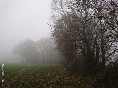 Natur im November, Nässe und Nebel