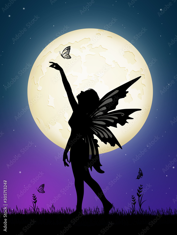 fairy dancing in the moonlight fairy dancing in the moonlight