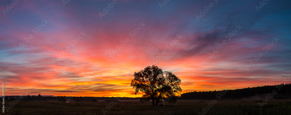 Naklejka premium Sunrise over field and tree