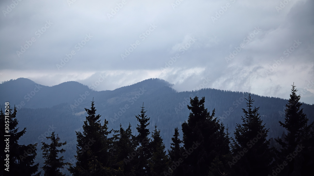 Mountains and forrest landscape with cloudy sky and foggy sky. Fir trees with misty weather hiking hills. Outdoor travel scenic wilderness Mountains and forrest landscape with cloudy sky and foggy sky. Fir trees with misty weather hiking hills. Outdoor travel scenic wilderness