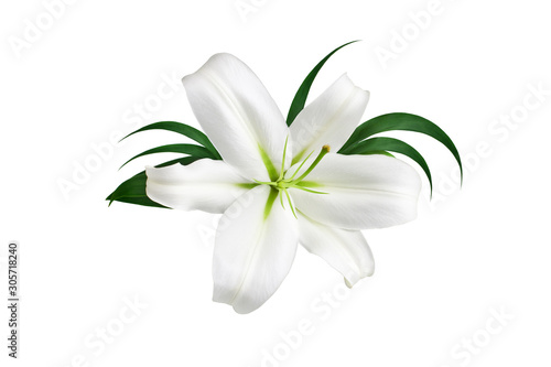 One big white lily flower with green leaves on white background isolated close up, beautiful lilly floral pattern, decorative design element, greeting card decoration, elegant wedding invitation decor
