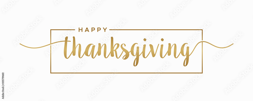 Fototapeta Happy Thanksgiving lettering hand drawn calligraphic gold text with square isolated on white background vector illustration. usable for web banners, posters and greeting cards