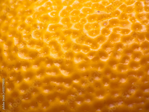 citrus, orange or grapefruit peel, background