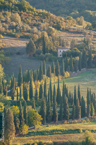 Slika na platnu ORVIETO