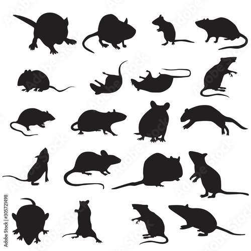 set of mouse animal.mouse silhouettes set isolated on white background vector. mouse and rad with different poses