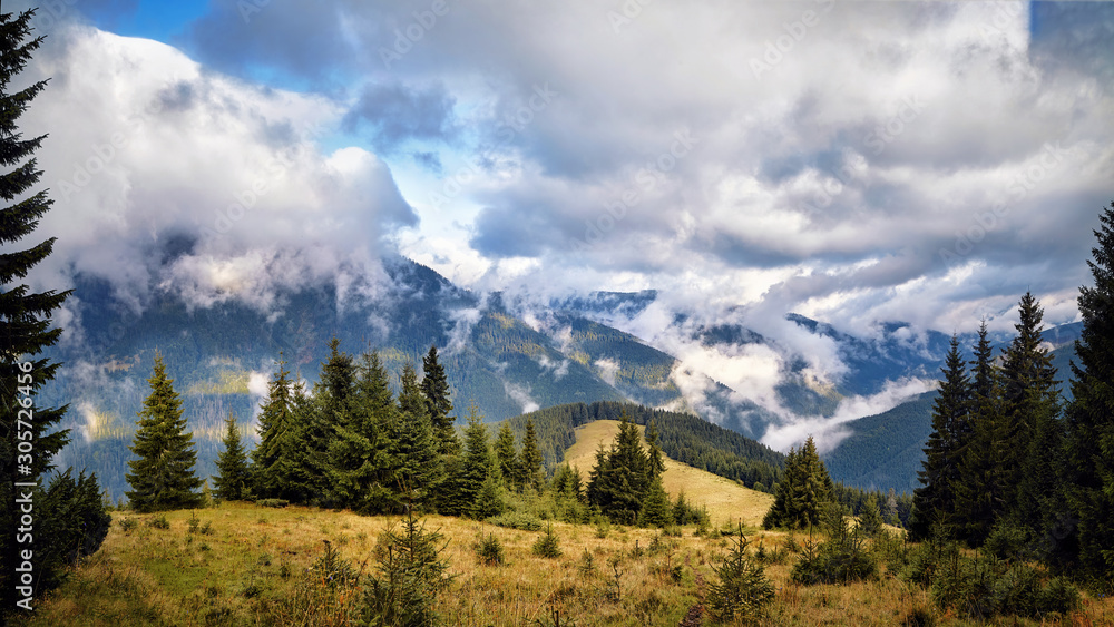 Forrest in mountains panorama, sunny day with beautiful clouds scene. Autumn background. Trekking and hiking summer travel nature landscape background.