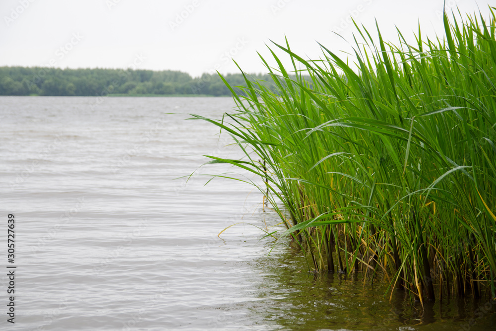 Obraz premium view of the Volga river from the shore