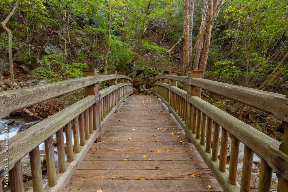 Obraz premium Takigawa Valley