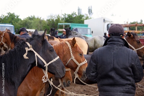 Karakol livestock market Kyrgyzstan