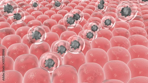 Skin detoxification melanin