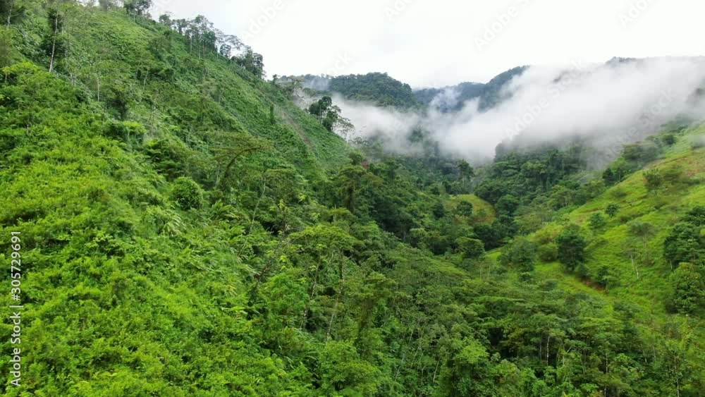 Aerial cinematic dolly shot of untouched rainforest jungle, with clouds in valley, prehistoric jurassic park era Aerial cinematic dolly shot of untouched rainforest jungle, with clouds in valley, prehistoric jurassic park era