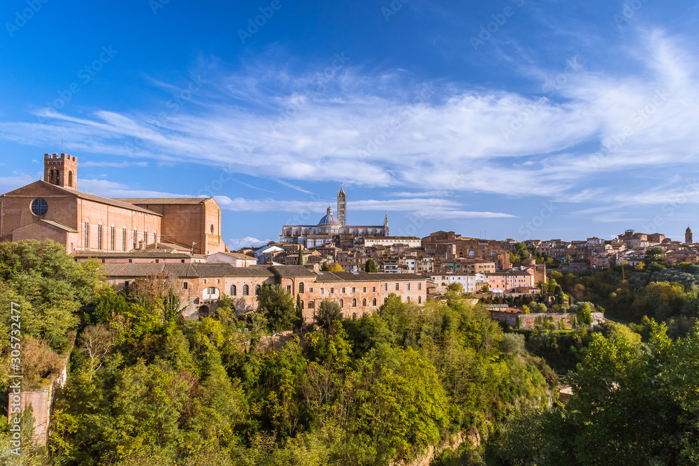 Urbanscape of Siena, the medieval town on the hill with trees under the blue sky in Tuscany, Italy. 