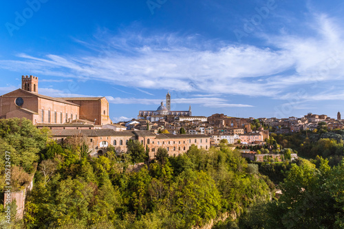 Urbanscape of Siena, the medieval town on the hill with trees under the blue sky in Tuscany, Italy.  © irena iris szewczyk