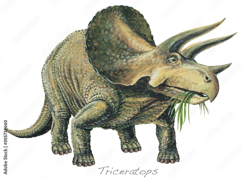 TRICERATOPS. A plant-eater. The largest of the horned dinosaurs. About 20ft (6m) Background: Pteranodon. Upper Cretaceous, about 70 million years *No. 8 in a series of eight.* Stock-illustration | Adobe