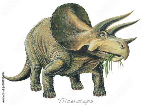 TRICERATOPS. A plant-eater. The largest of the horned dinosaurs. About 20ft (6m) long. Background: Pteranodon. Upper Cretaceous, about 70 million years ago. *No. 8 in a series of eight.*