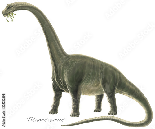 Fototapeta Naklejka Na Ścianę i Meble -  TITANOSAURUS ARGENTINOSAURUS. Titanosaurs include some of the heaviest land animals ever found on earth. Late Cretaceous, about 90 million years ago.