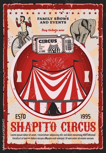 Circus top tent with carnival trained animal and acrobat vector design. Chapiteau marquee with flags, elephant balancing on ball and man riding vintage bicycle, retro tickets and fireworks