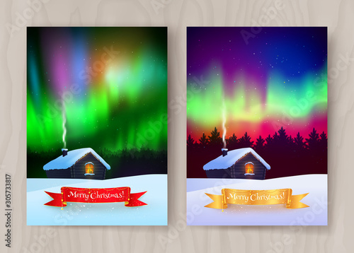Vector illustration of winter night landscape