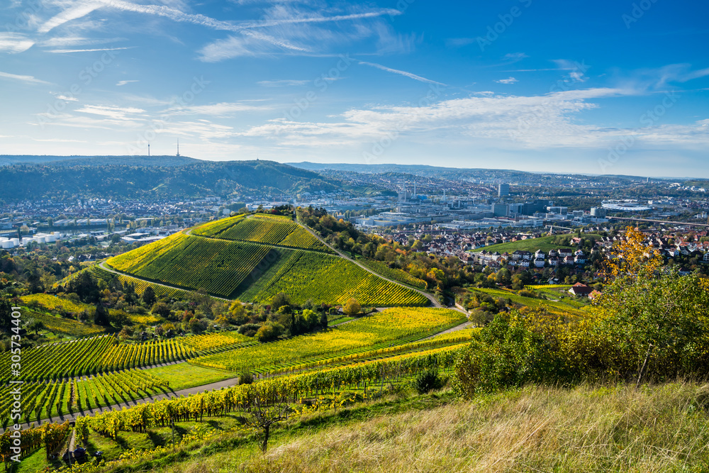 Germany, Stuttgart houses surrounded by colorful vineyards and forested hills in autumn