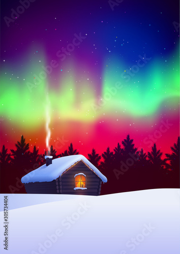 Vector illustration of winter night landscape