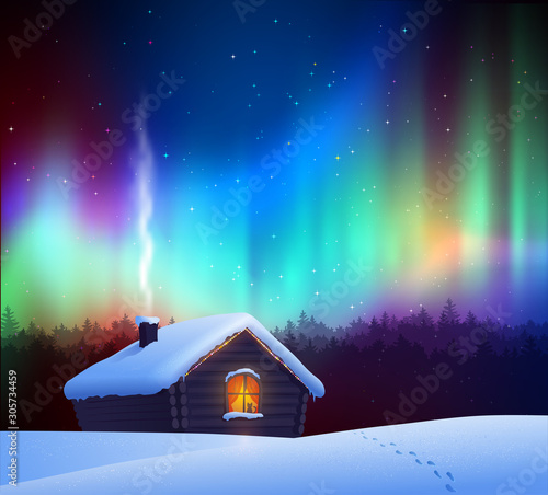 Vector illustration of winter night landscape