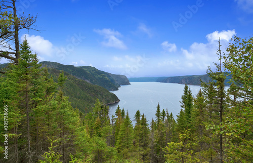 Panoramic view of the river Saguenay from Saguenay Fjord National park  Qu  bec  Canada.