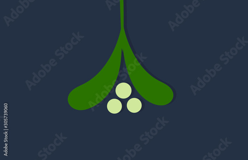 Mistletoe leaves hanging branch, Christmas symbol.