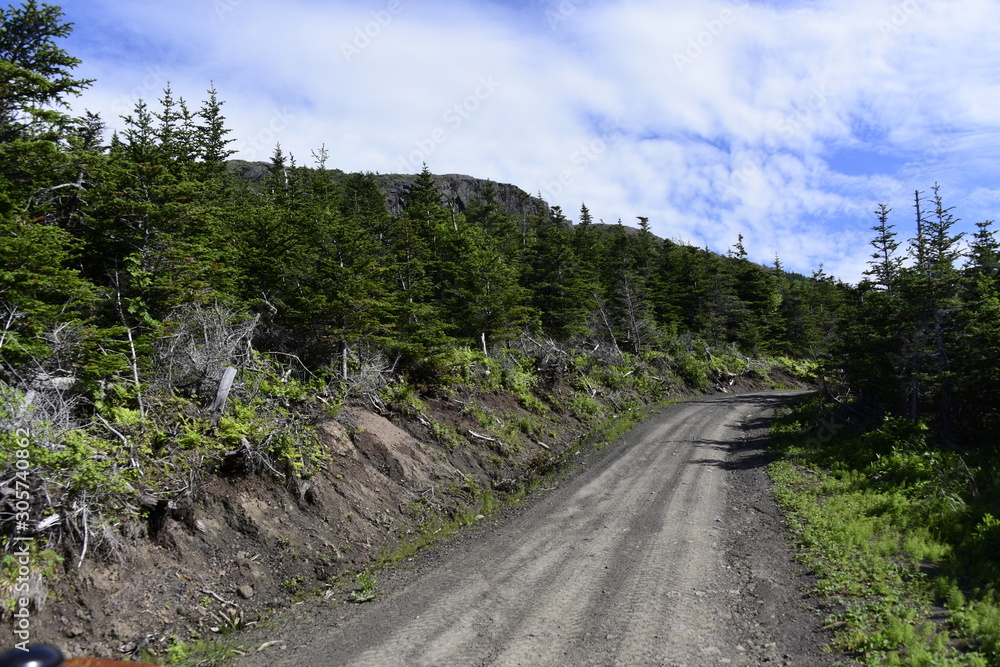 Fototapeta premium Dirt Road on a Scenic Drive