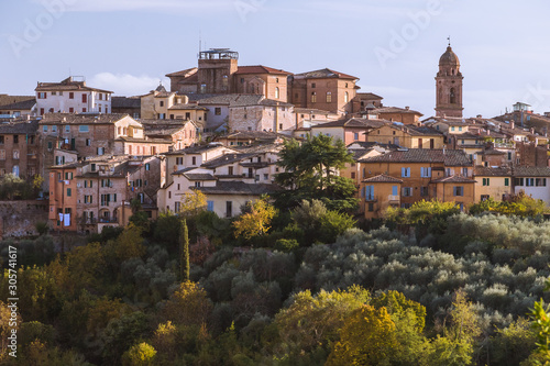 City scape of Siena  the medieval town on the hill with trees under the blue sky in Tuscany  Italy.  Cathedral building with the tower in the center.