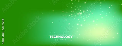 Green Wireframe Texture. Te...