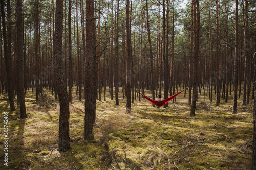 Obraz na płótnie Woman relaxing in the hammock hanging among the pine trees in the background. w salonie