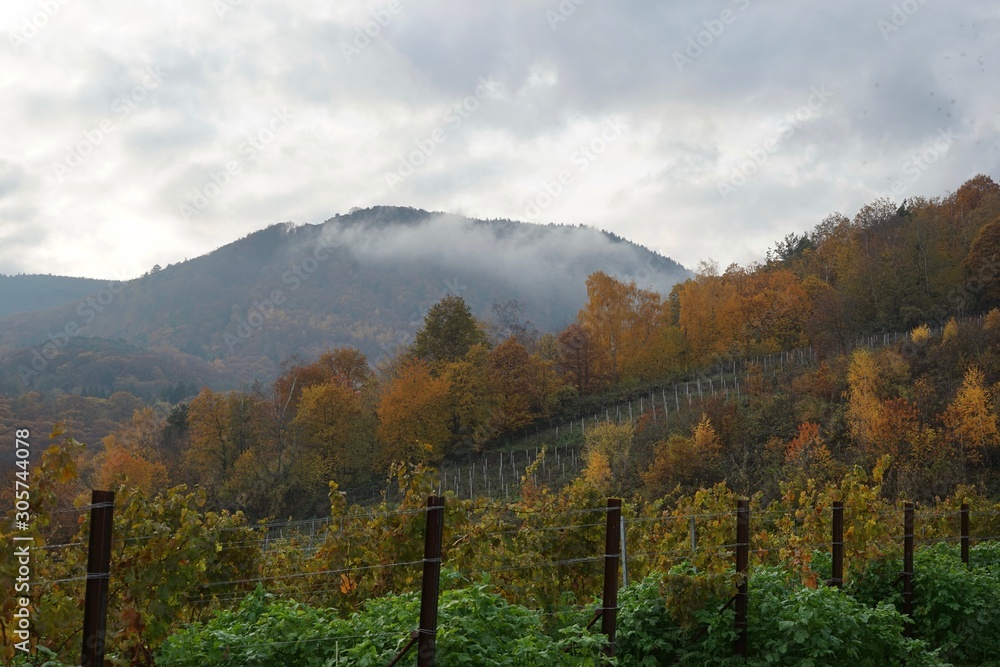 Herbst in den Weinbergen der Südlichen Weinstrasse