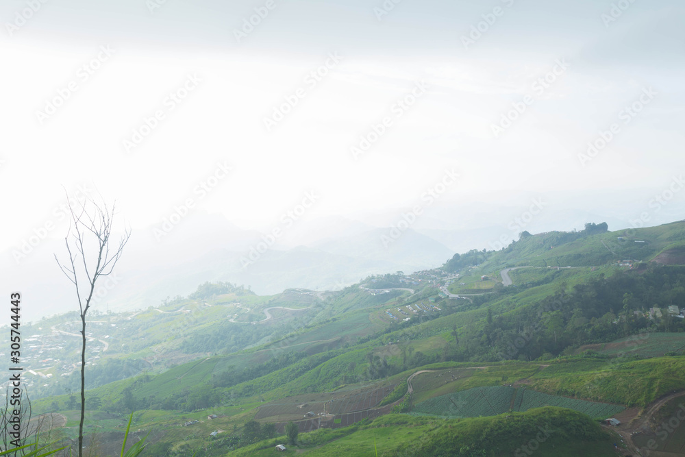 Naklejka premium Phu Thap Boek