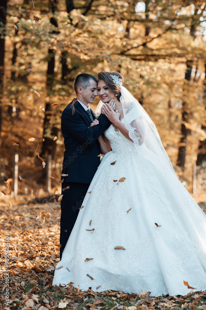 Romantic, fairytale, happy newlywed couple hugging and kissing in a park, trees in background. Walk the newlyweds. The bride and groom in nature. Wedding day. The best day of a young couple