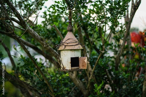 birdhouse on tree © Roy 