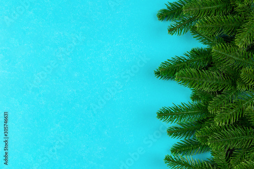 Top view of green fir tree branches on colorful background. New year holiday concept with empty space for your design