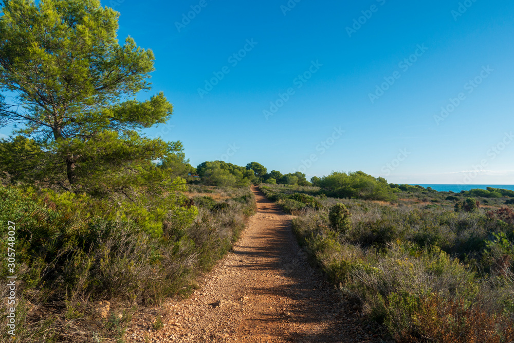 Fototapeta premium Trail through the mountains of Irta de Alcocebre