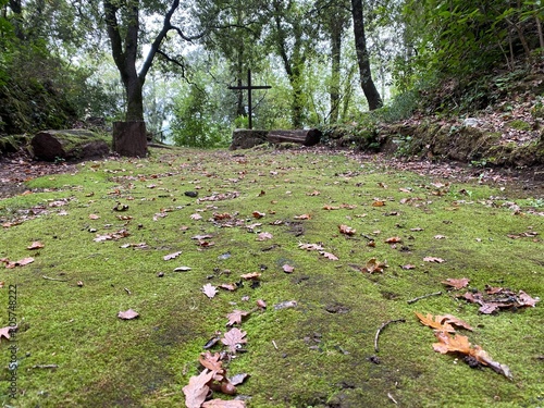 autumn in the park