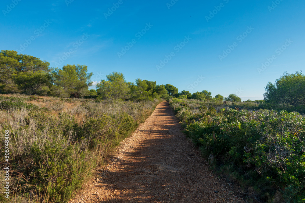 Trail through the mountains of Irta de Alcocebre