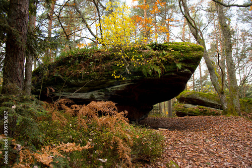 Heidenmauerweg am Mont Saint Odile in den Vogesen photo