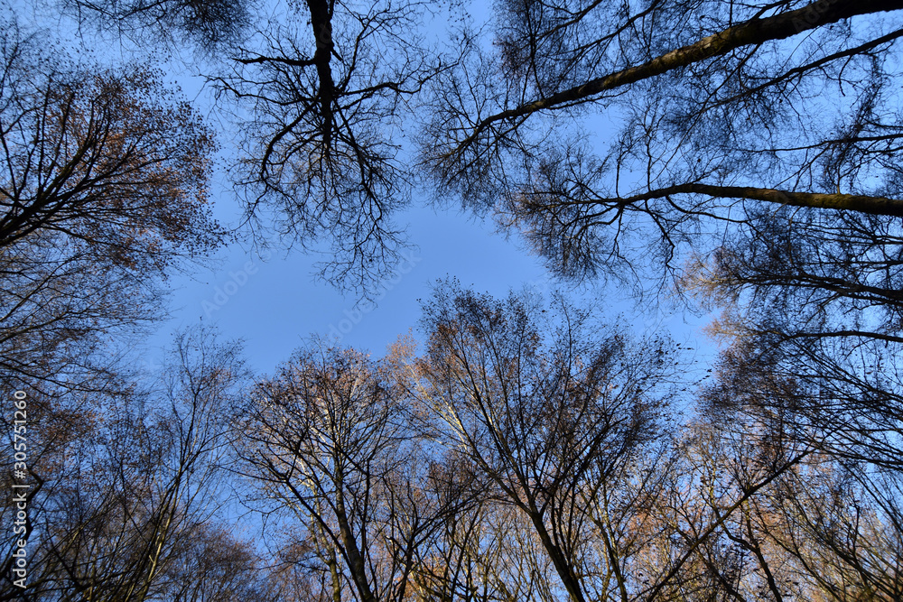 Fototapeta premium Traumschleife Hunolsteiner Klammtour